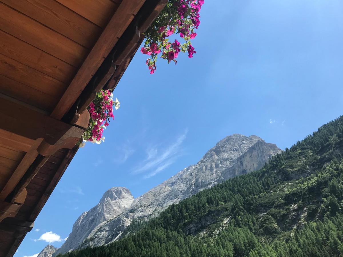 Cesa Mandi e Miky Apartment Canazei Bagian luar foto