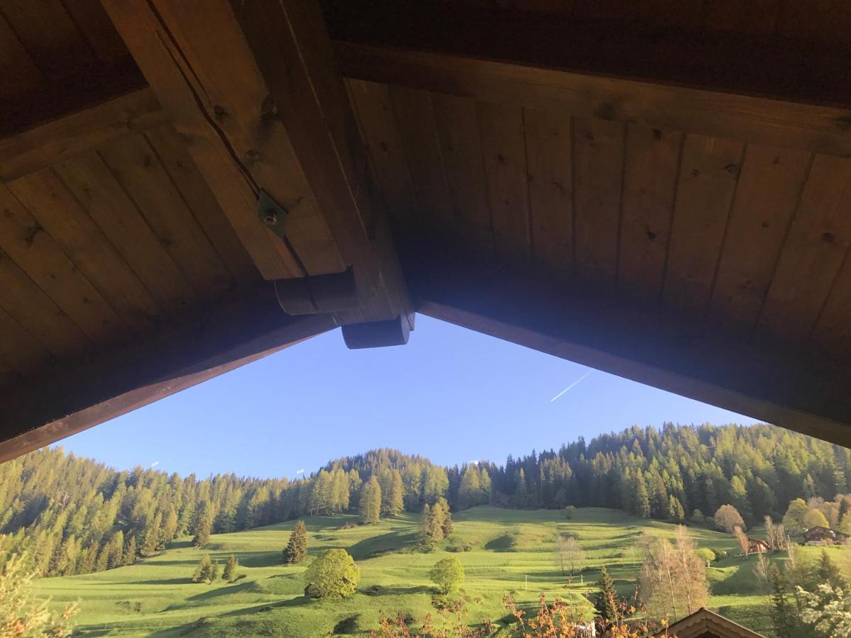 Cesa Mandi e Miky Apartment Canazei Bagian luar foto