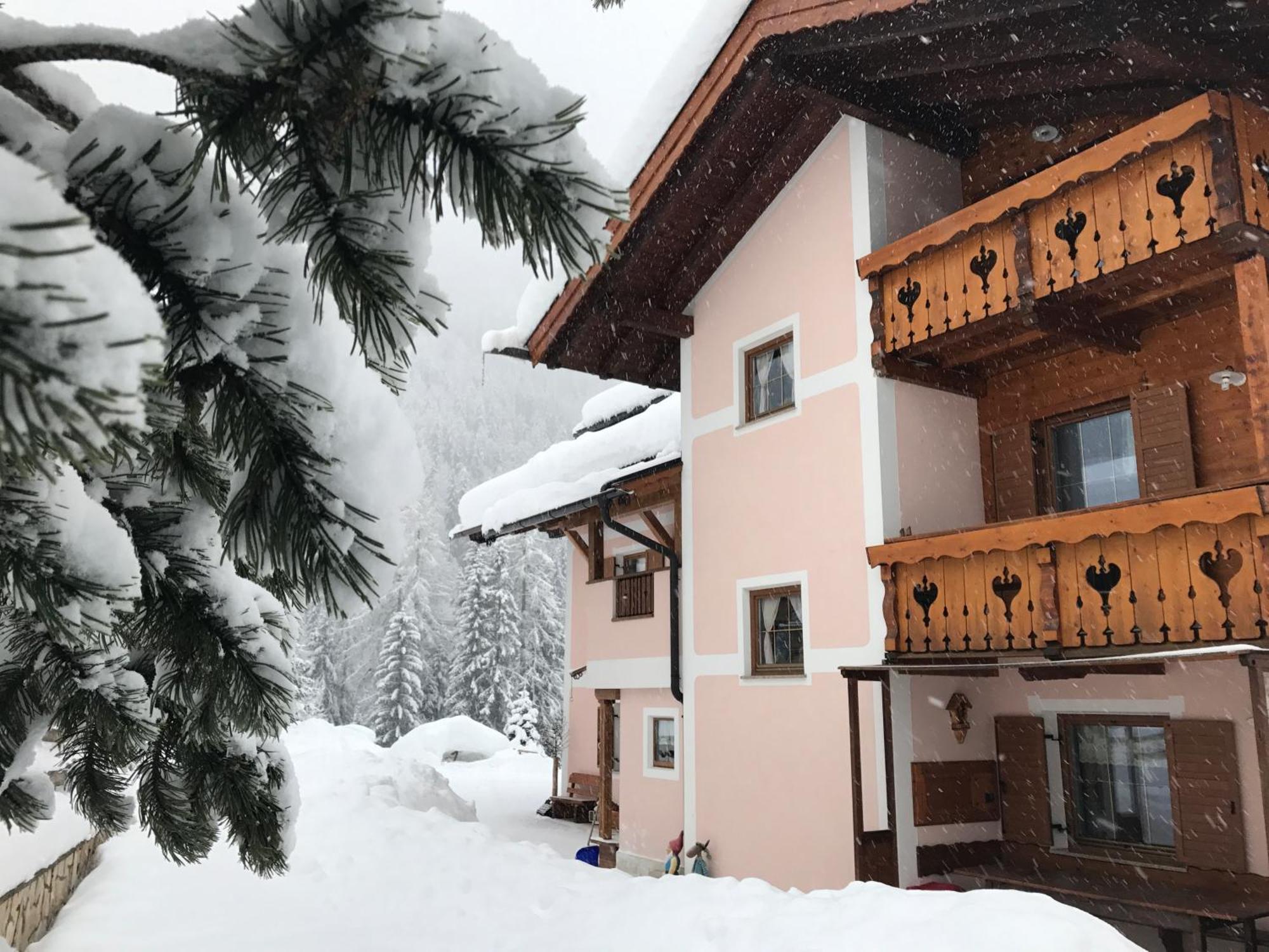 Cesa Mandi e Miky Apartment Canazei Bagian luar foto