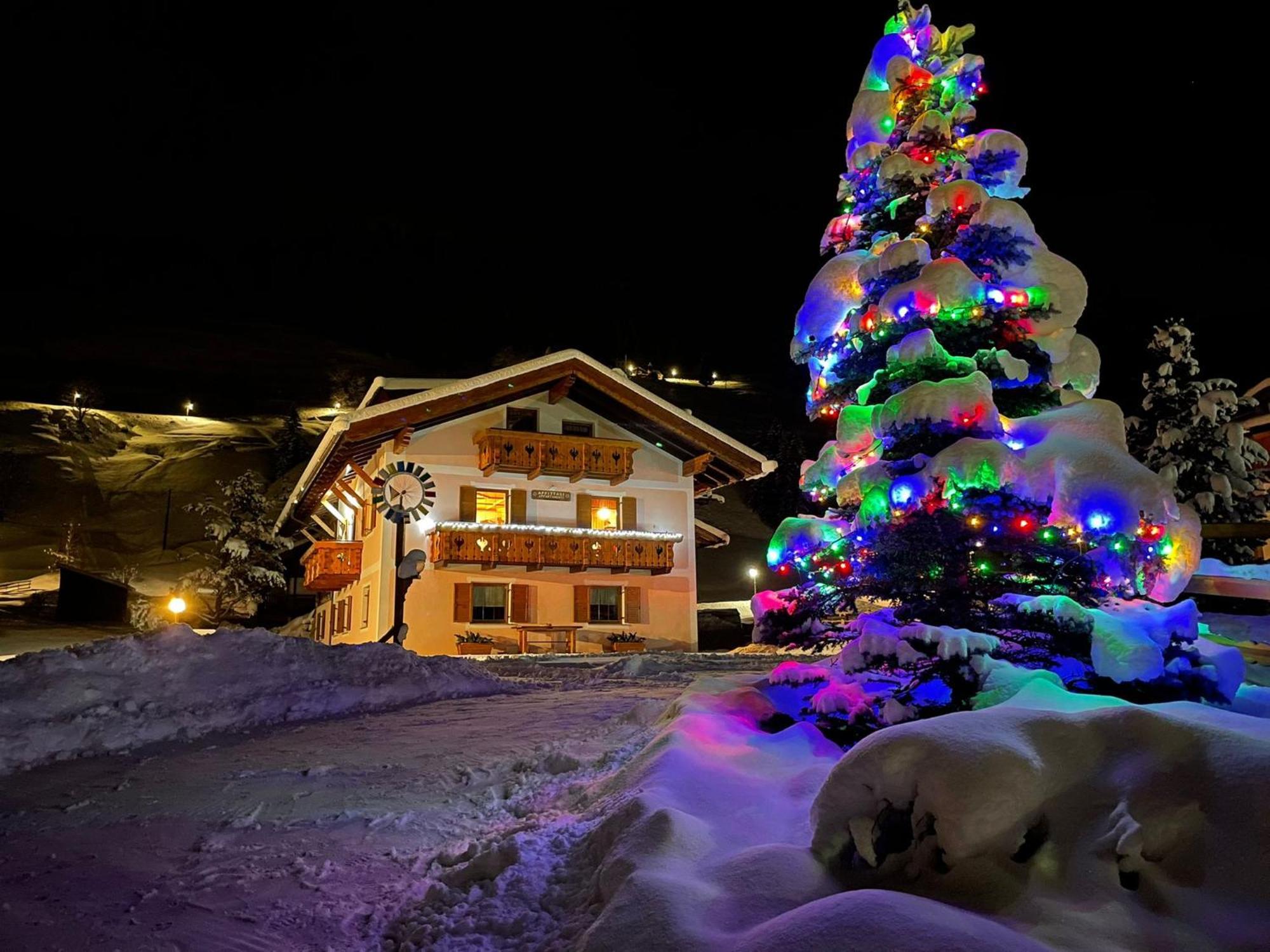Cesa Mandi e Miky Apartment Canazei Bagian luar foto